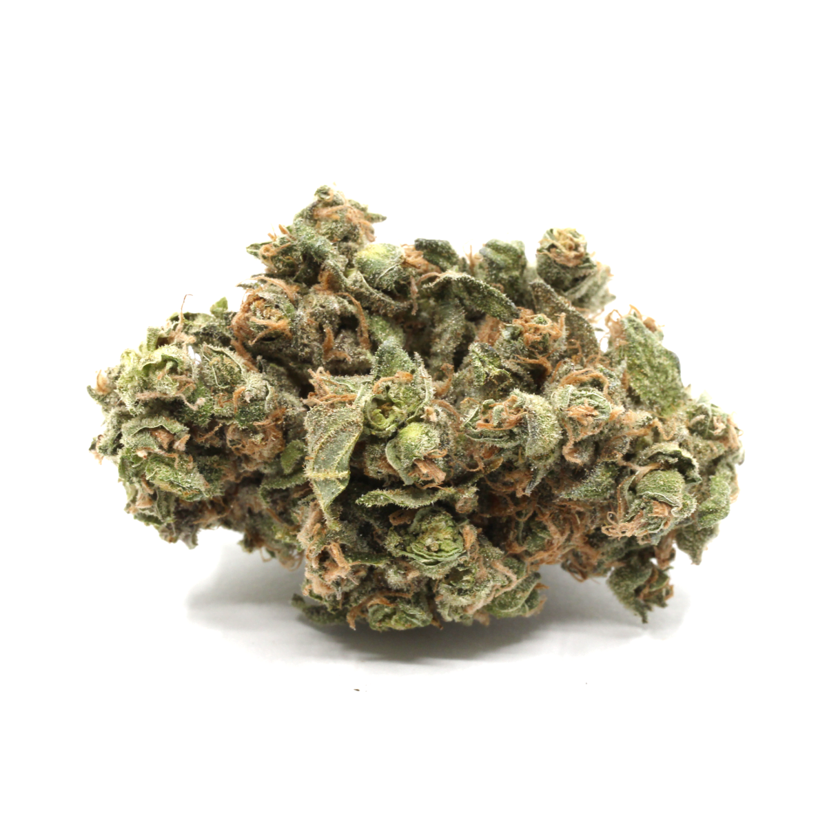Buy Purple Terps AA+ Airy Buds Squamish Weed Delivery