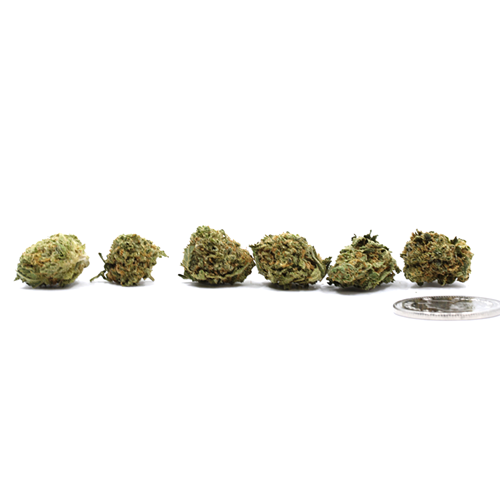 Order Layer Cake Small Buds - Weed Delivery Squamish